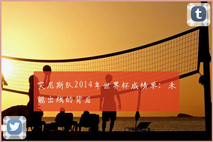 突尼斯队2014年世界杯成绩单:未能出线的背后
